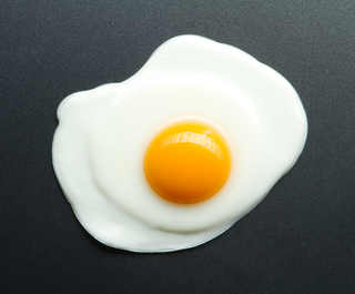 Illustration for article titled The Worst Lies That Mainstream Nutrition Has Told You